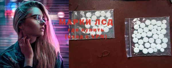 стаф Алзамай