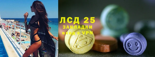стаф Алзамай