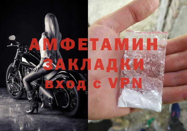 стаф Алзамай