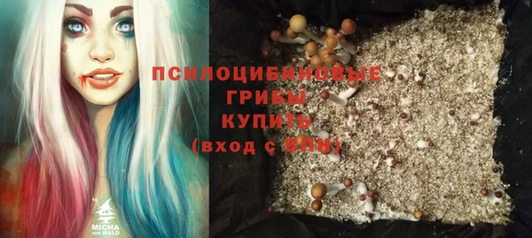 ECSTASY Алексеевка