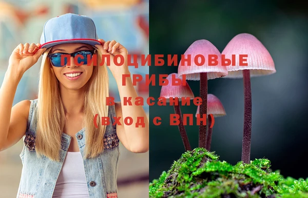 ECSTASY Алексеевка