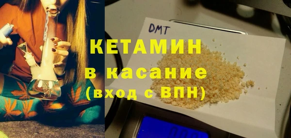стаф Алзамай