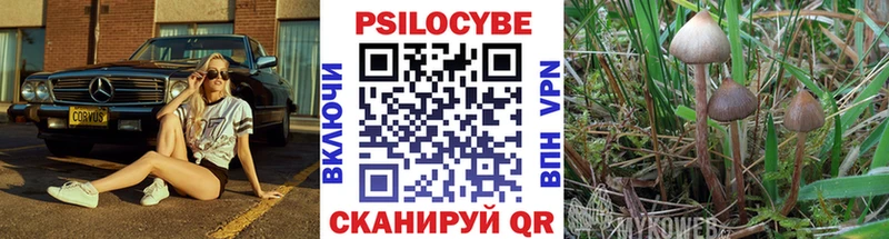 Псилоцибиновые грибы Magic Shrooms  Амурск 